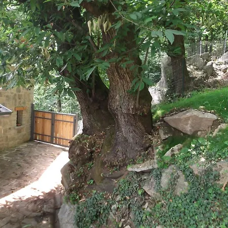 Апартаменты Agriturismo Ai Ronchi *